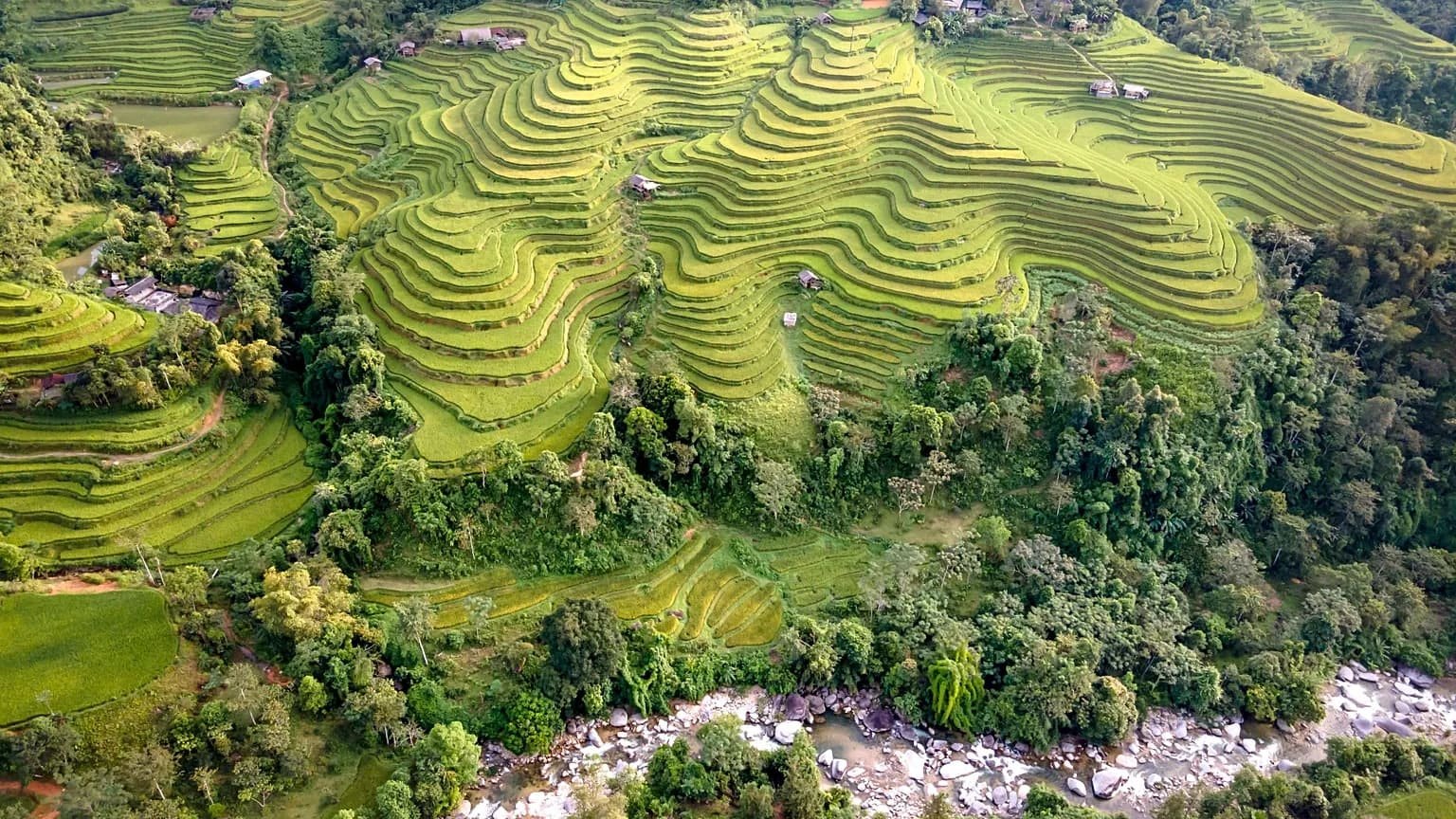Walk the 2,000-year-old rice terraces