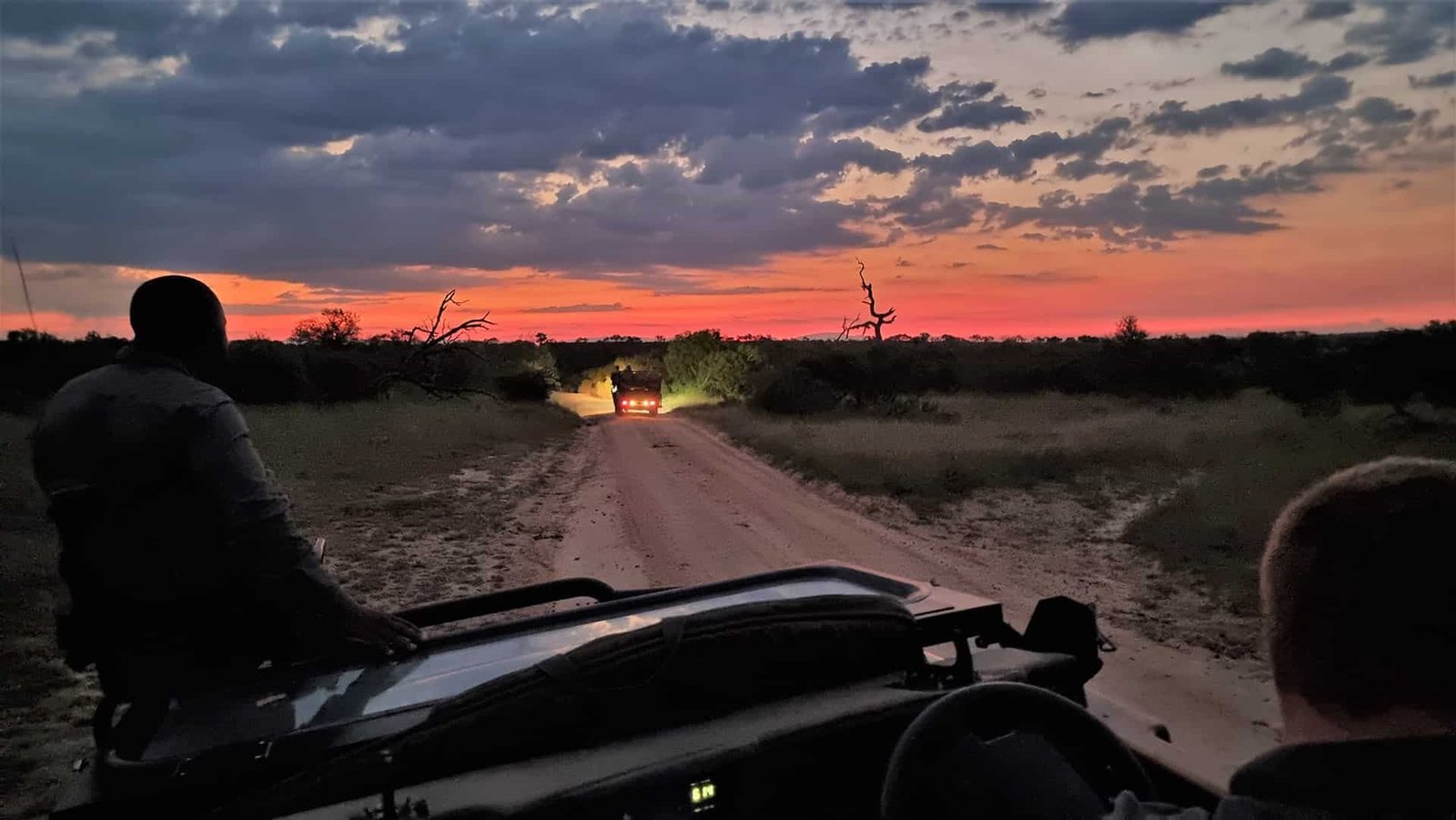 Open-vehicle night drive in search of the Big Five