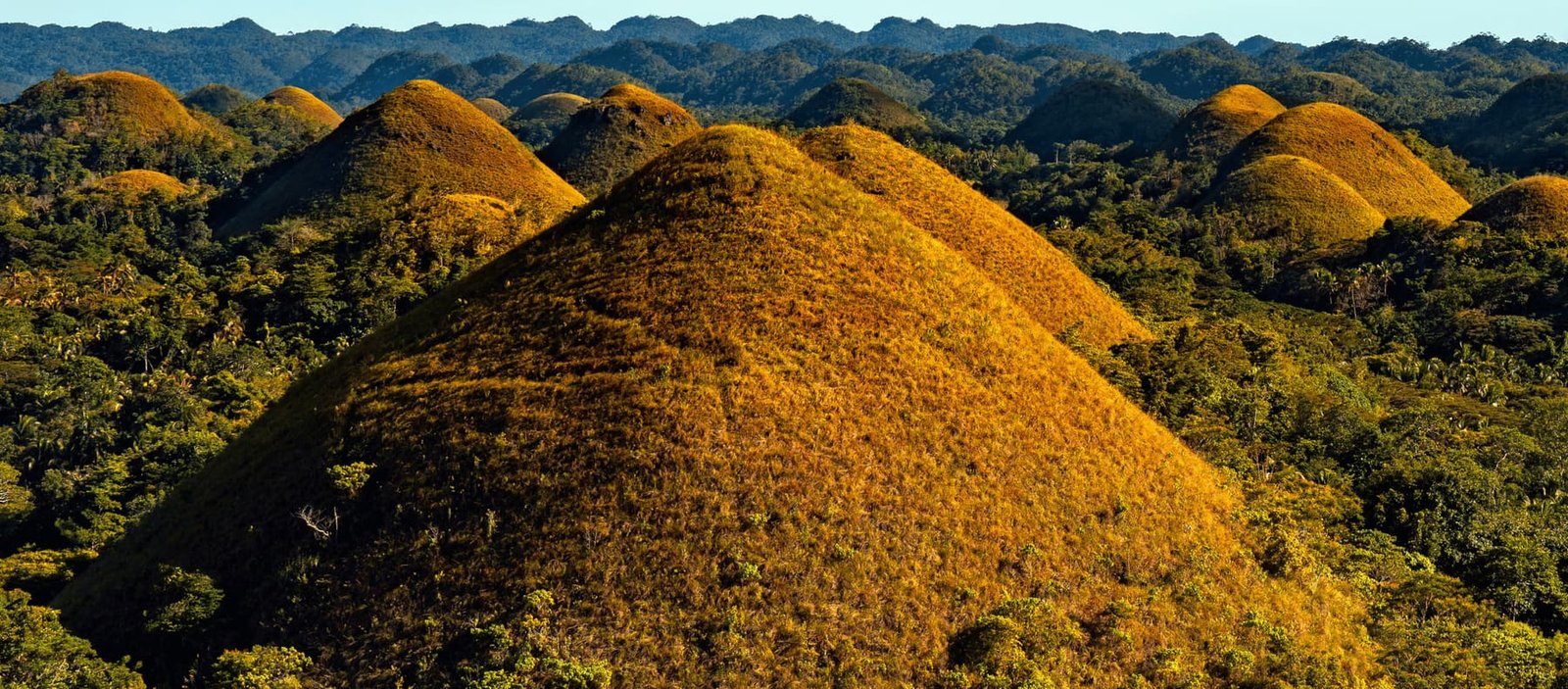 Visit the otherworldly Chocolate Hills