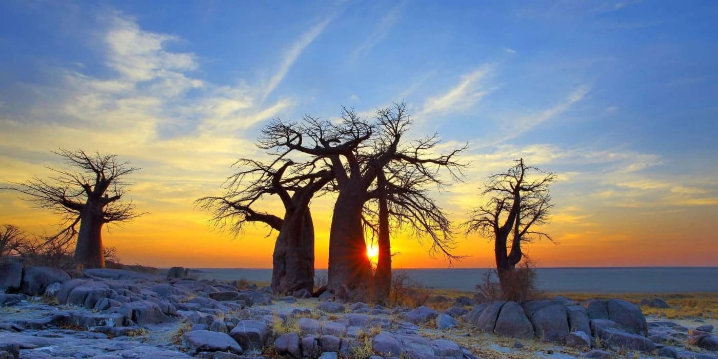 Walk the surreal, endless horizons of the salt pans
