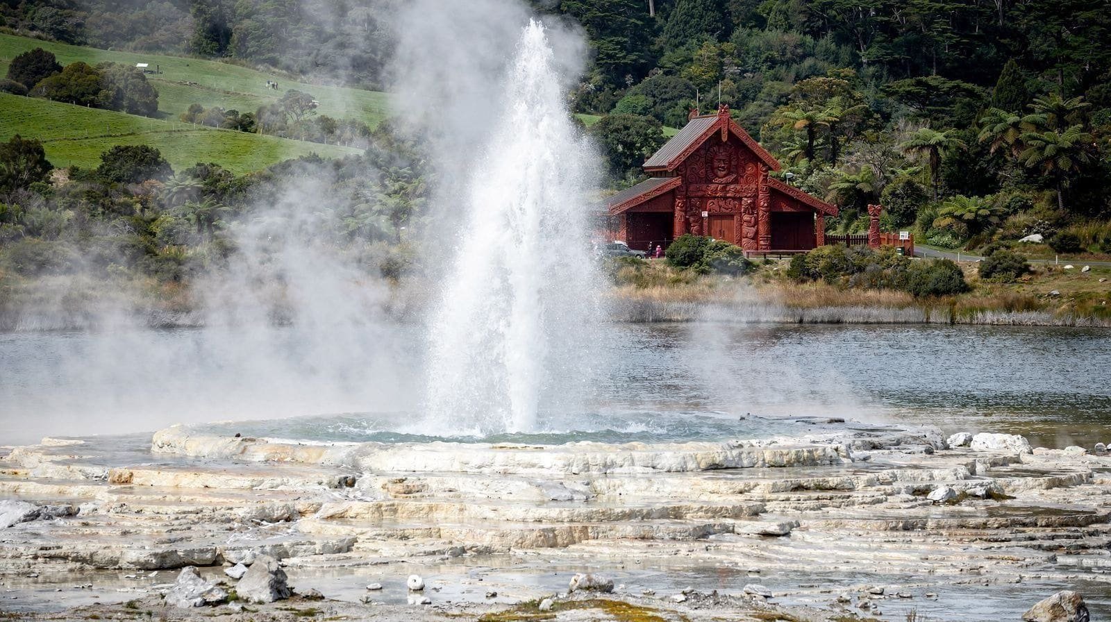Watch the Pōhutu Geyser and share a hāngi at Te Puia
