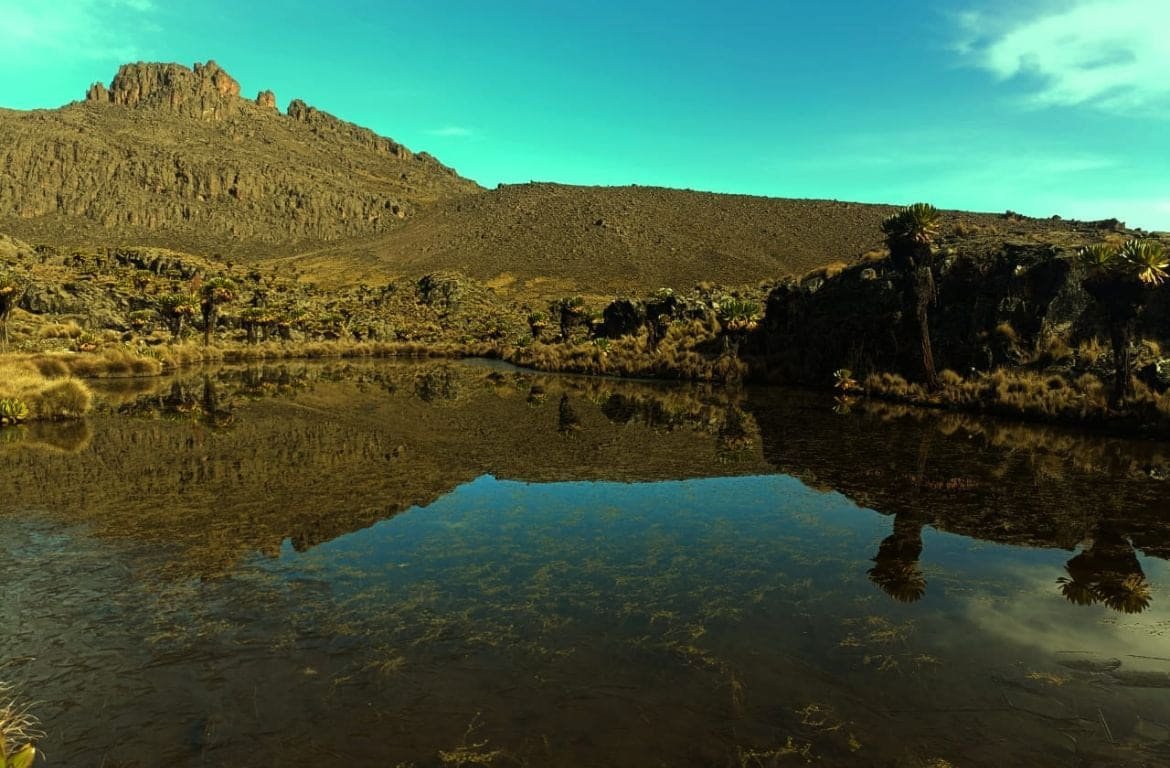 Mount Kenya's glacier-hung peaks above the alpine zone