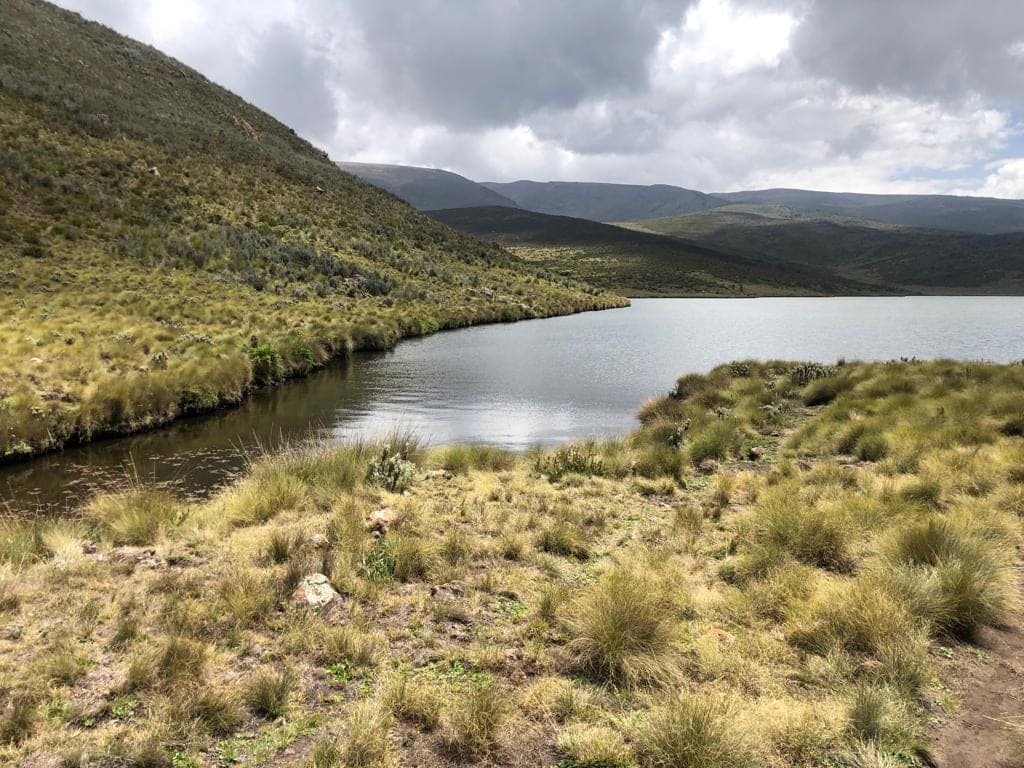 Mount Kenya's peaks seen from the moorland near Lake Ellis