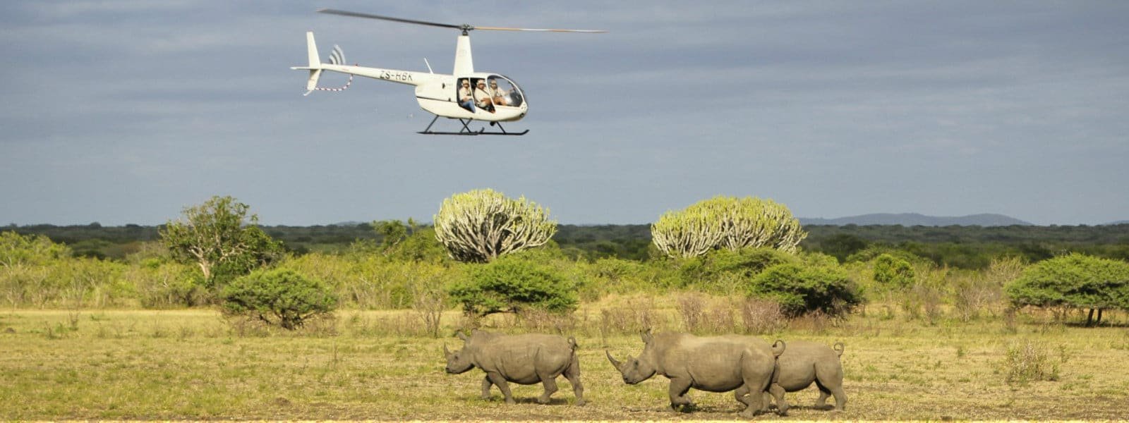 A helicopter safari over the plains