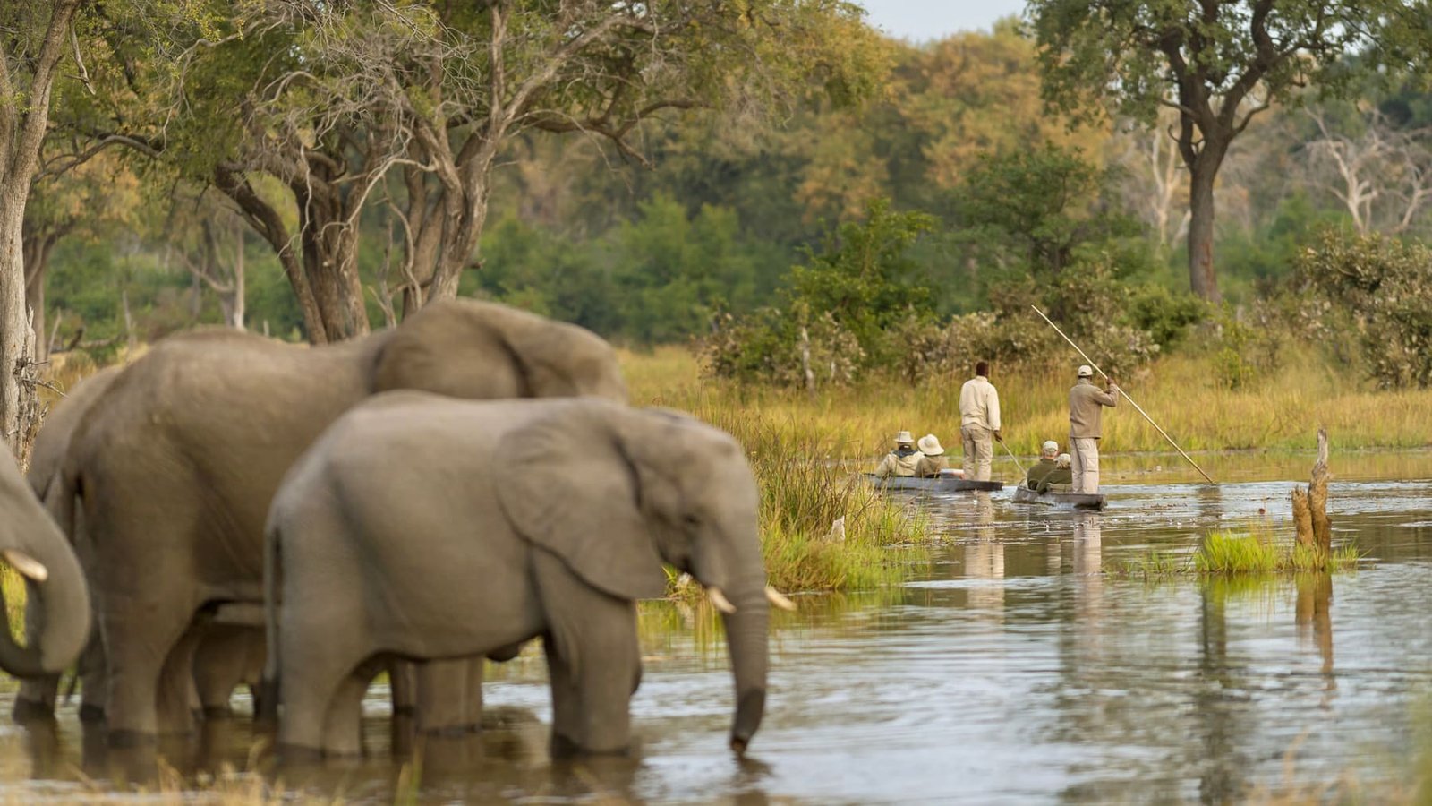 The Water, Wilderness & Victoria Falls Grand Circuit