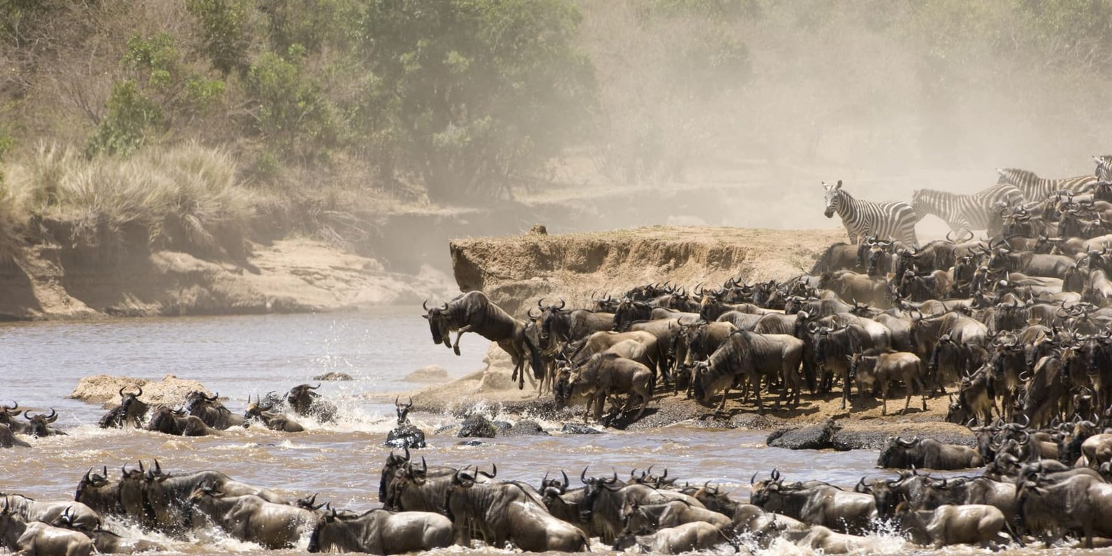 The Great Migration Explorer