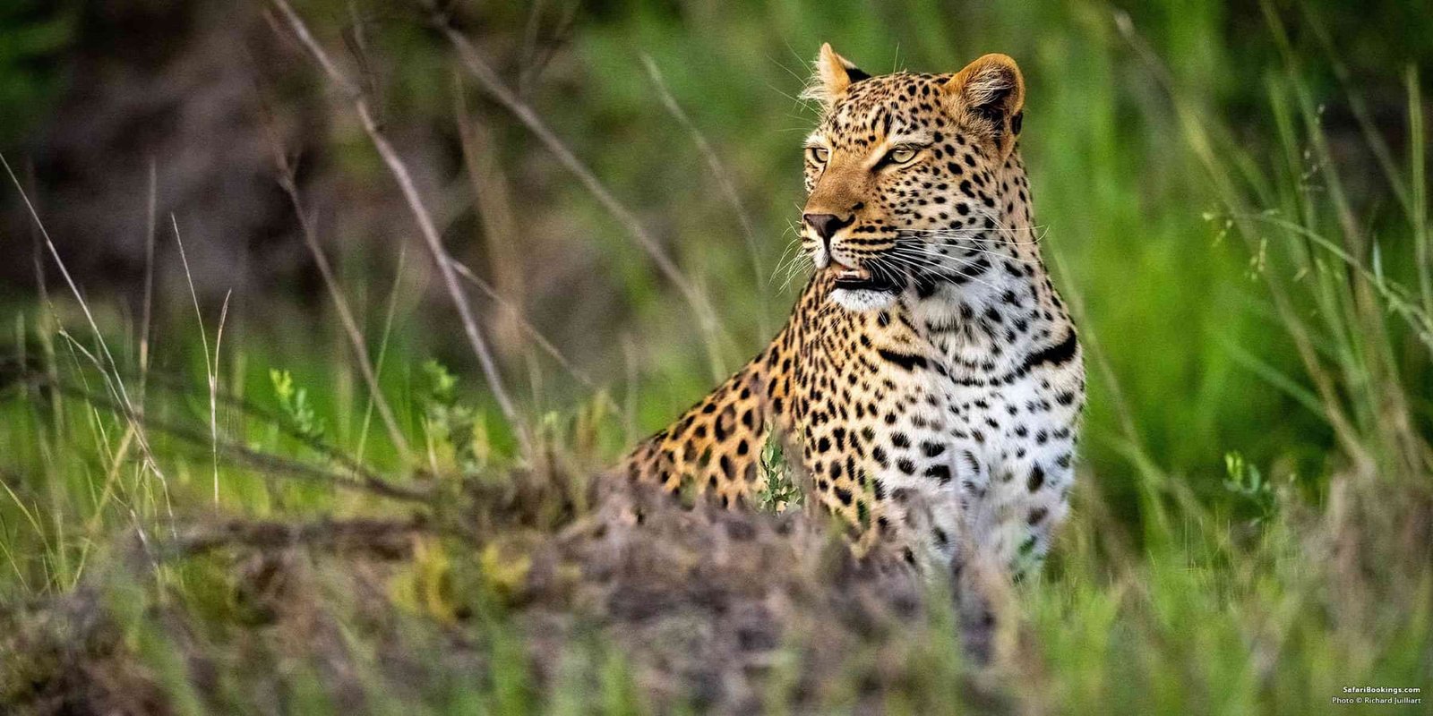 Etosha & Mauritius