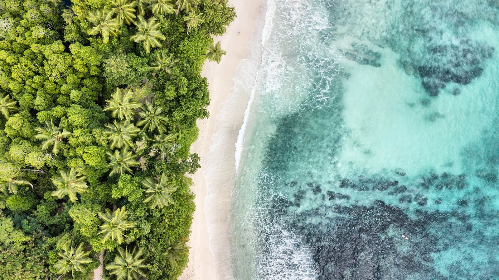 Wild Mauritius