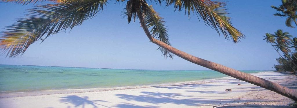 Wild Seychelles