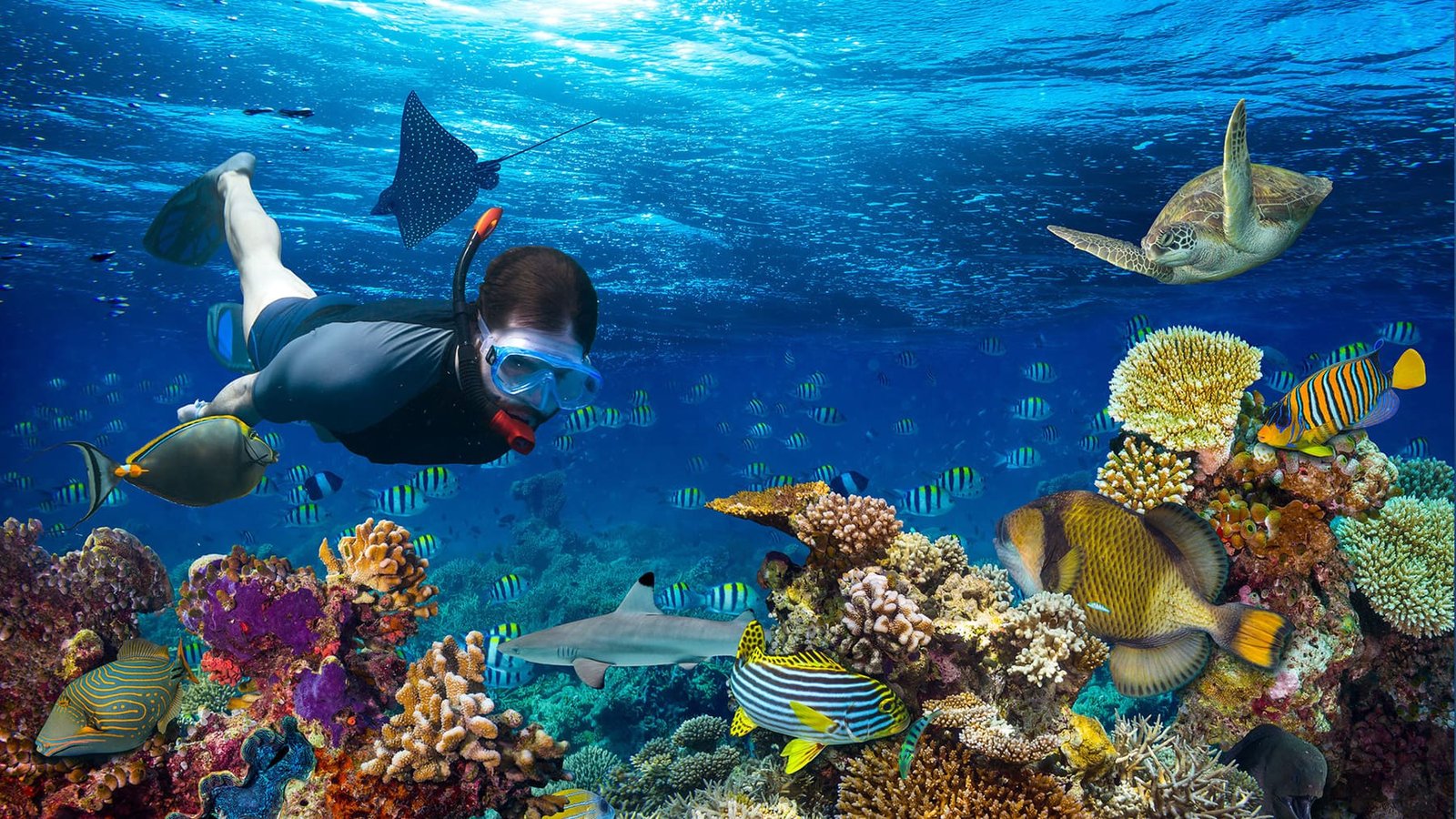 Cocoon Collection Maldives Hidden Paradise