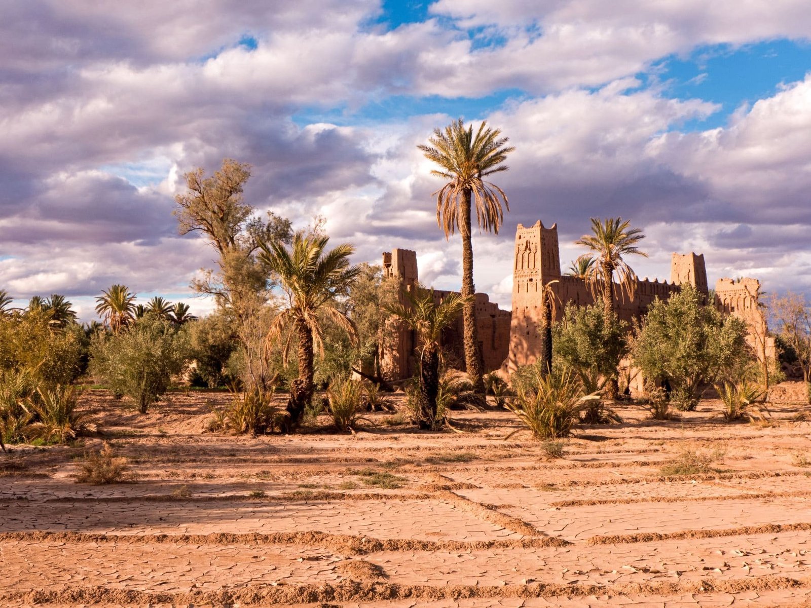 Secrets of the Rif & The Saharan Oases