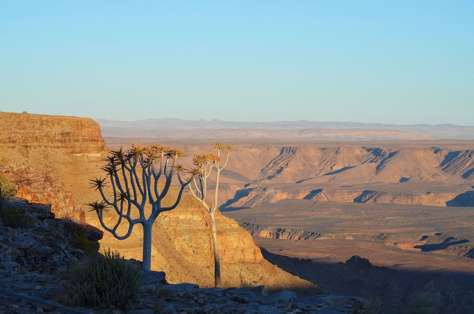 The Southern Wonders & Wilderness
