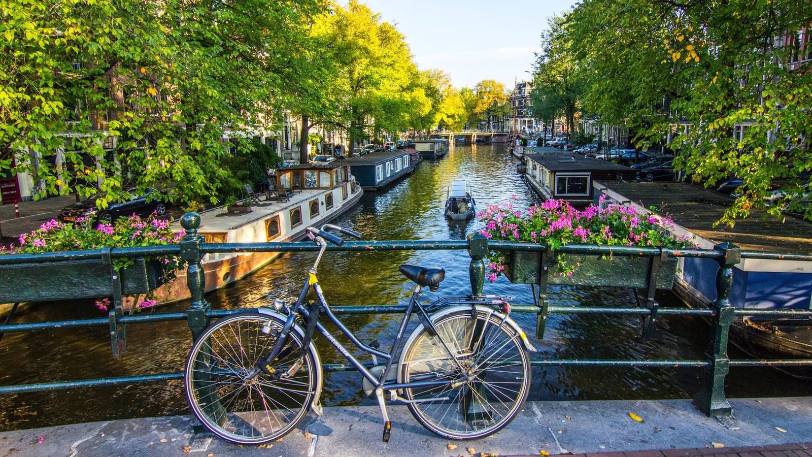 Netherlands & Belgium &mdash; The Low Countries