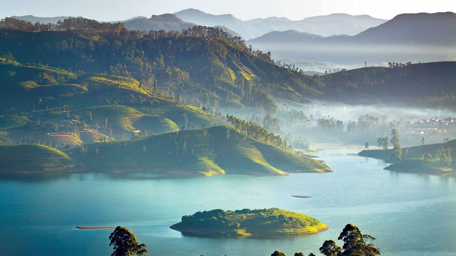 The Tea Highlands & Whales of the South