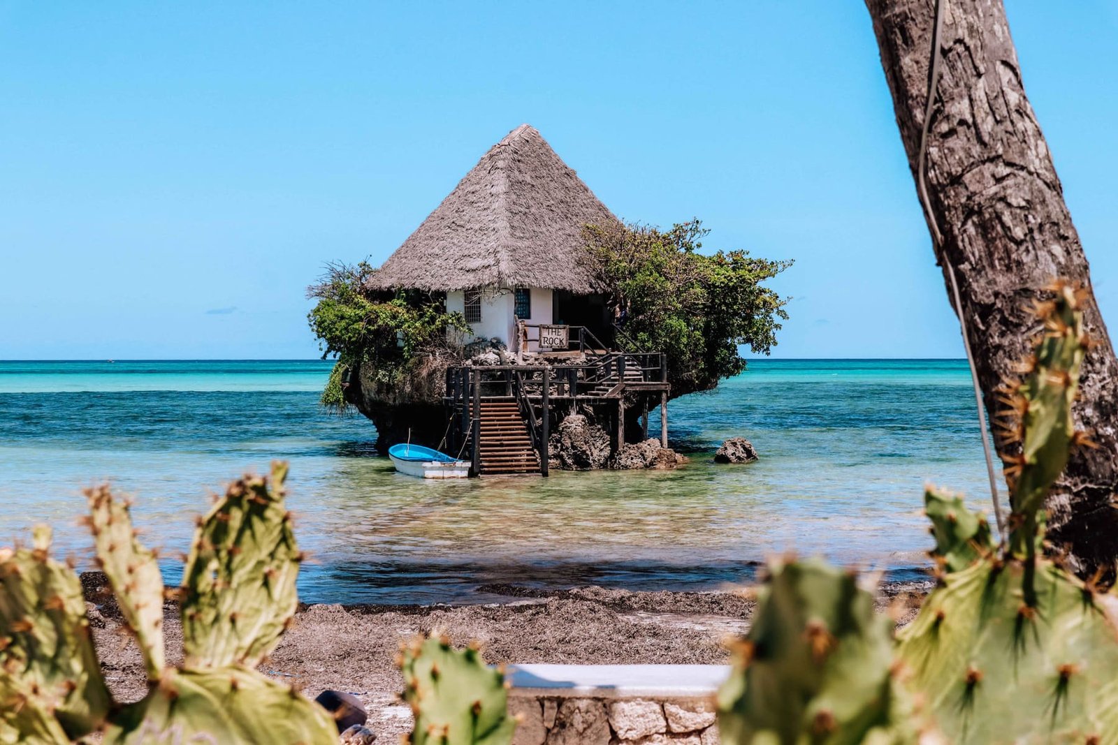 The Island & Savannah Romance