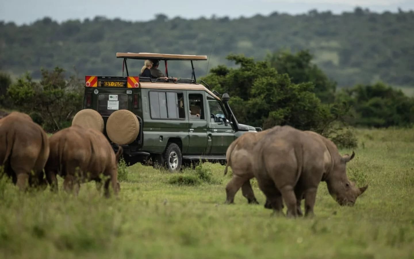 A safari vehicle crossing open terrain