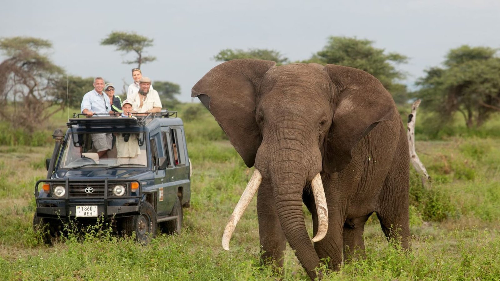 A safari vehicle crossing open terrain