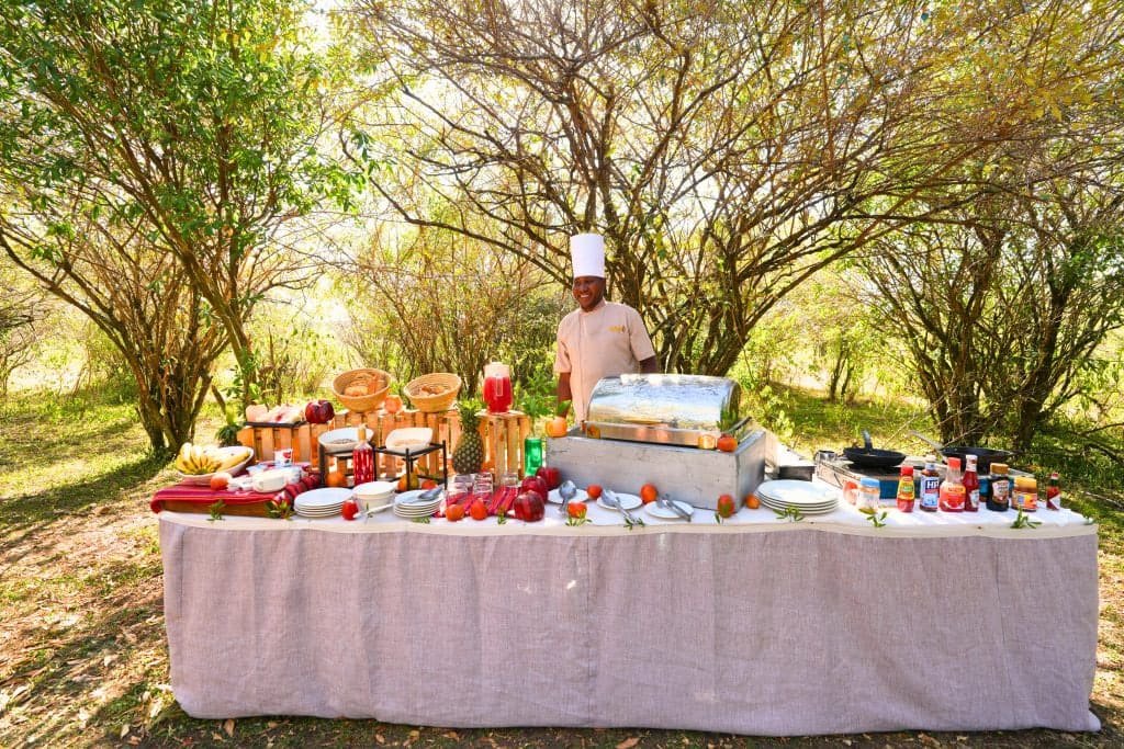 A short safari game drive