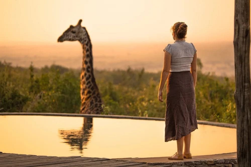 A single traveller at rest on safari