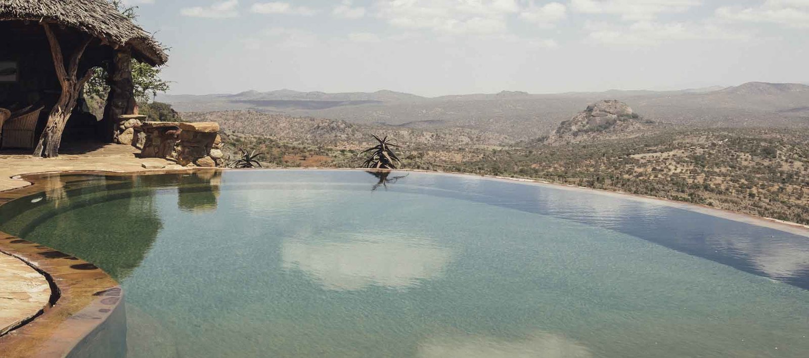 A private safari moment, tailor-made to one traveller
